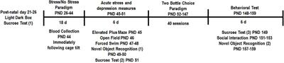 The Effects of Rosiglitazone on Task Specific Anxiety-Like Behavior and Novelty Seeking in a Model of Chronic Adolescent Unpredictable Stress